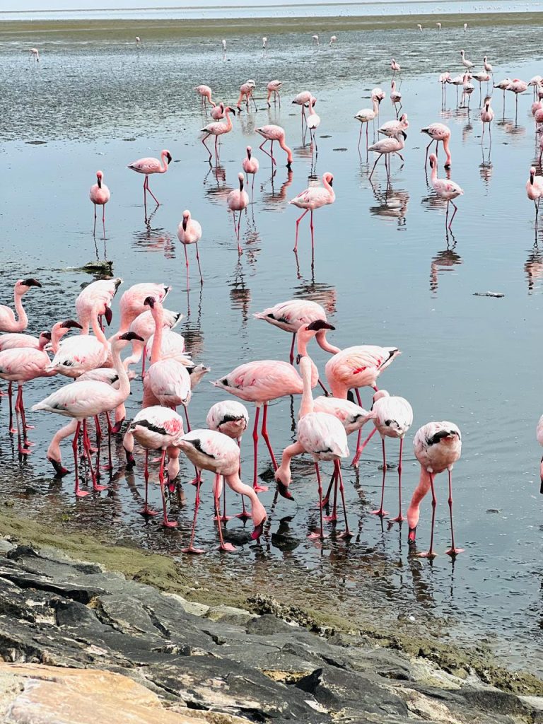 WhatsApp Image 2025-10-26 at 11.35.58 AM