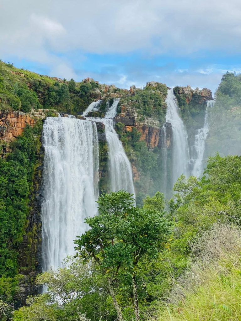 WhatsApp Image 2025-10-26 at 11.53.03 AM