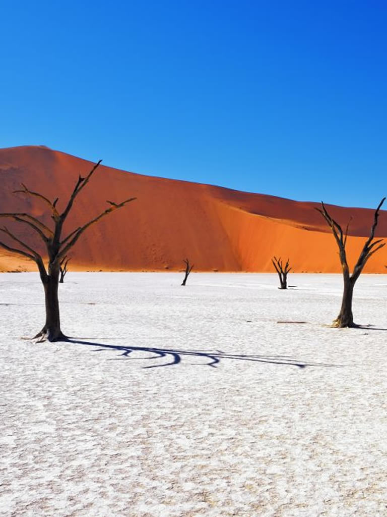 namibia6
